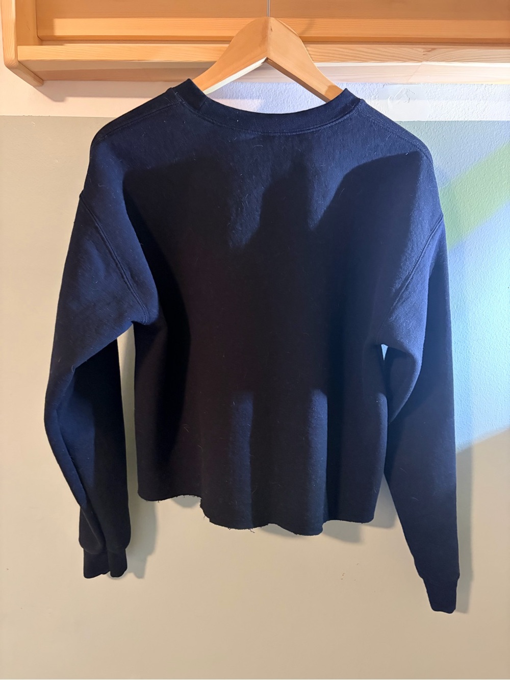 Philadelphia Eagles "No One Likes Us We Don’t Care” Cropped Gilden Sweatshirt - Picture 3 of 3